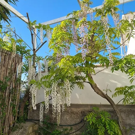 Capri Love Anacapri (Isola di Capri)